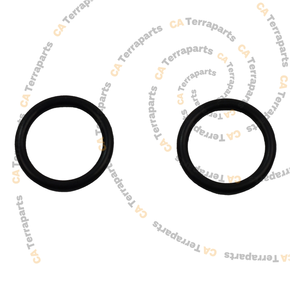 Oring supapa pompa de injectie – Nexgen