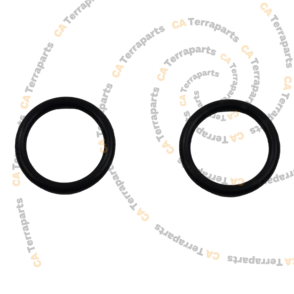 Oring supapa pompa de injectie – Nexgen