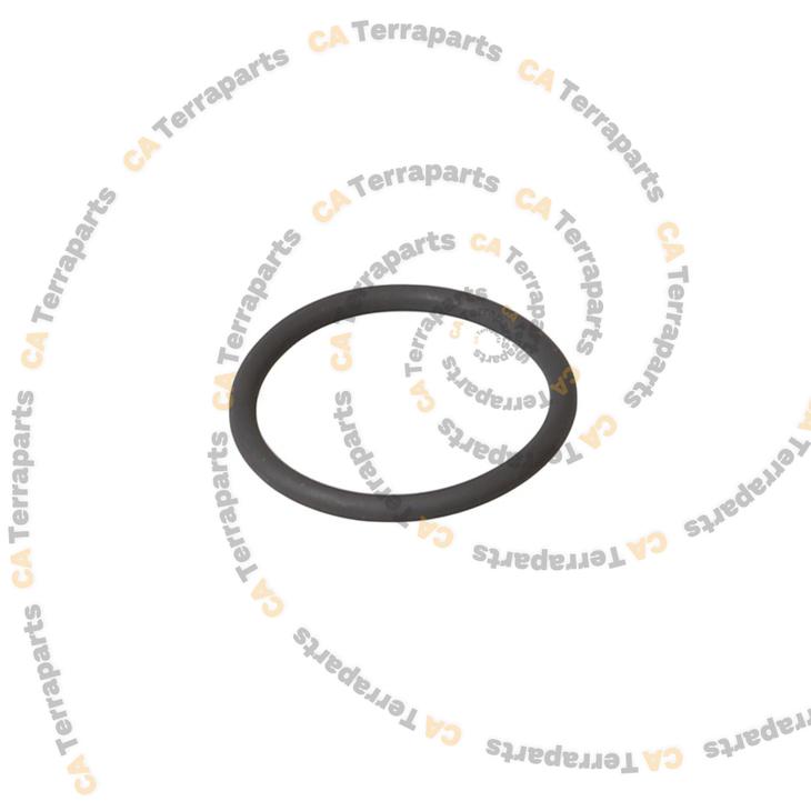 O -Ring - Thermo HSG